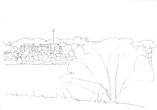 基礎から身につく 透明水彩で描く 花と光の風景画 (COSMIC MOOK) | 青木美和 |本 | 通販 | Amazon