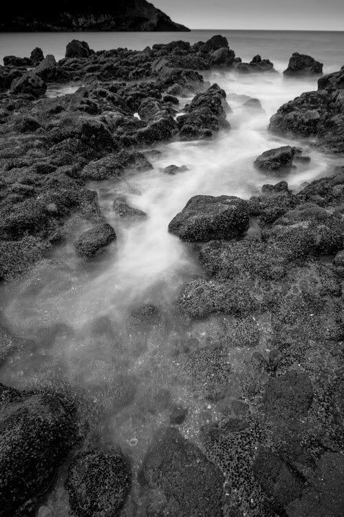 Tips for Learning How to See in Monochrome