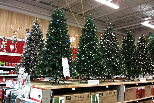 Christmas in October All Over Albany Christmas in October All Over Albany