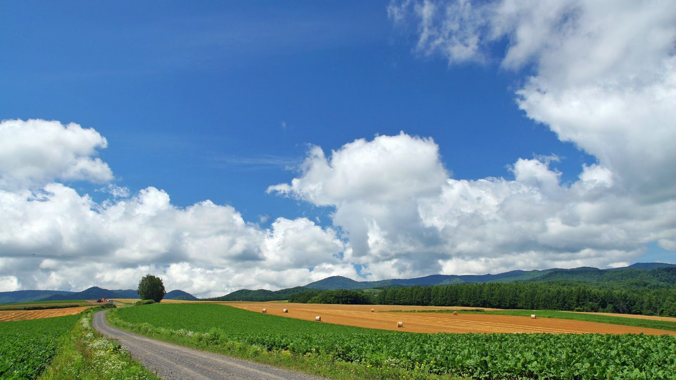 壁纸1366 768北海道天堂富良野与美瑛田园摄影集北海道美瑛町美丽田园景色壁纸19 10壁纸 北海道 天堂富良野与美瑛田园摄影集壁纸图片 风景壁纸 风景图片素材 桌面壁纸