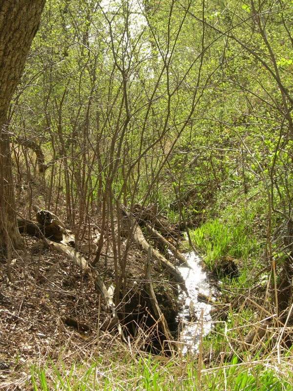 DSCN3563.JPG