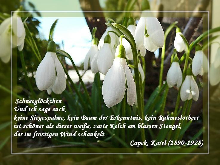 widmung zum geburtstag im buch