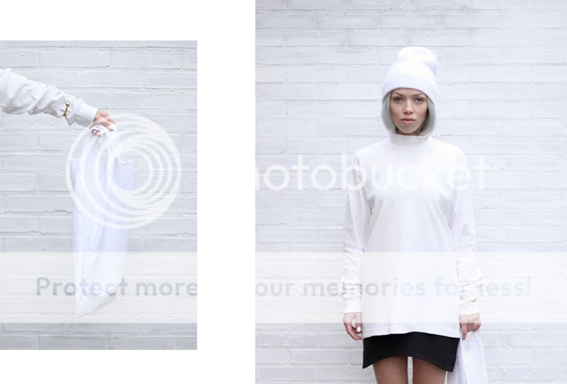  photo loveaestheticstransitional00.jpg