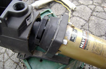 How To Unclog The Hayward Super Pump Impeller | Wet Head Media