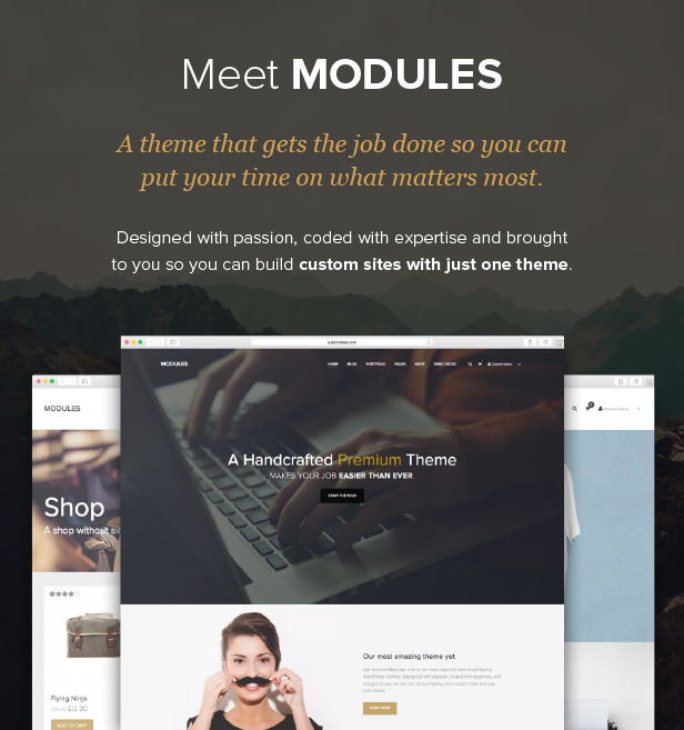 Modules WordPress Theme