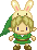Legend of Zelda fan
