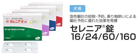 犬の酔い止め薬 ぜーんぶ お金の話 ダイワハウス Xevo E