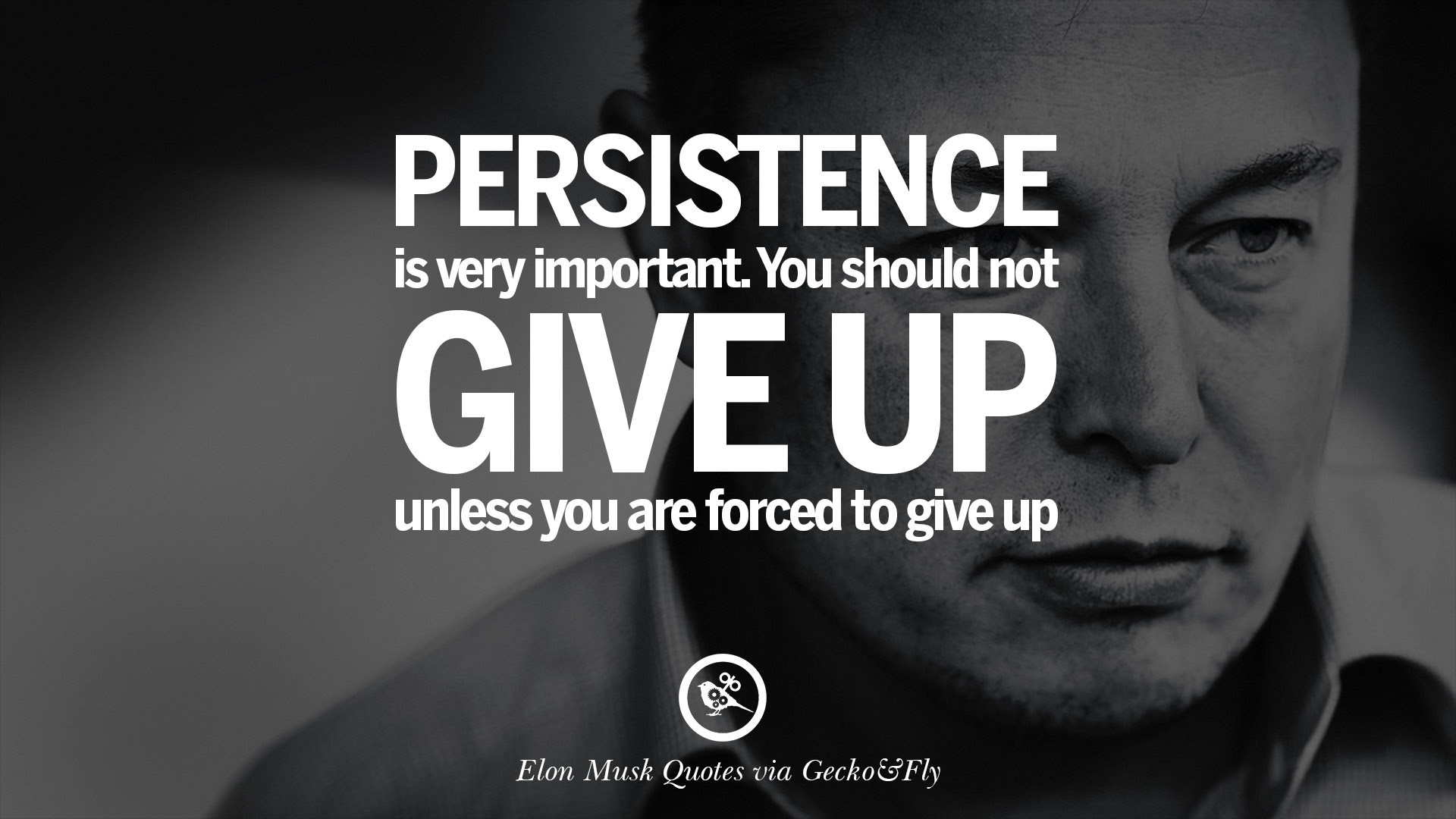 20 Elon Musk Quotes on Business, Risk and The Future