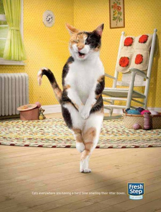 A funny ad for cat litter