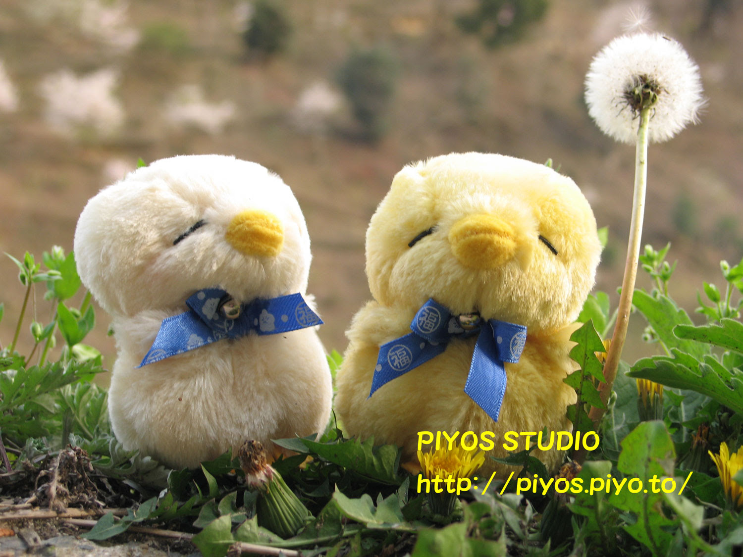 春の壁紙2 Piyo S Studio