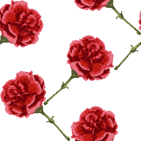 ブラシタッチかーねーしょん No 577 リアルカーネーションの壁紙用イラスト 条件付フリー素材集 スマホなど携帯電話対応