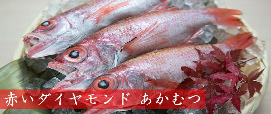 アカムツ のどぐろ