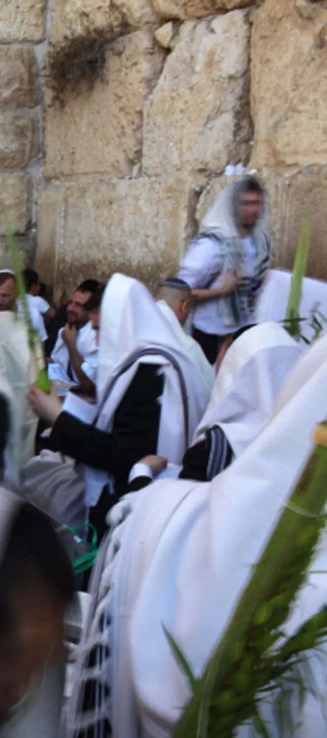 ברכת כהנים בכותל המערבי - חדשות בארץ - ערוץ 7 חדשות ...