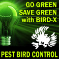 Pest Bird Control