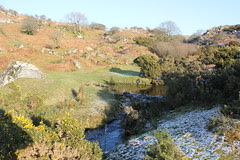 Yellowmead Circles and Cuckoo Rock, Dartmoor 063