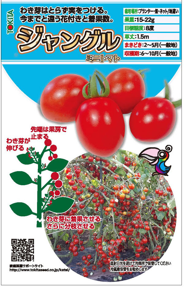 トキタ種苗 野菜品種カタログ 栽培ガイド わき芽はとらず 実をつける新しいタイプのミニトマト トマト ジャングルトマト