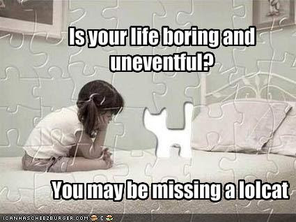 I Miss You Funny Pics. In