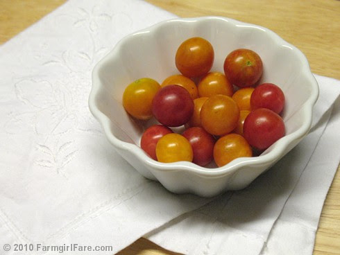 First Tomato Harvest 8-18-10