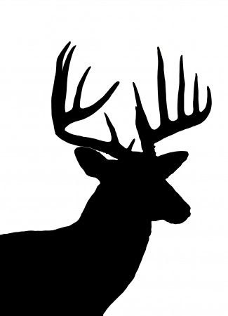 Download Deer Head Silhouette Vector - ClipArt Best