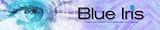 Blue Iris Full Version Supports Up to 64 IP Cameras