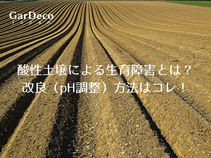 酸性土壌による生育障害とは 改良 Ph調整 方法はコレ Gardeco Japan