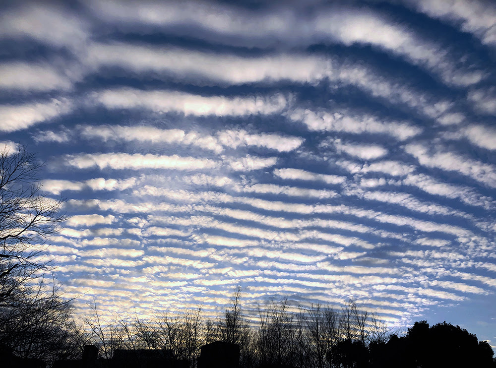 さば雲 鯖雲 が浮かんでいました ほしのつぶやき