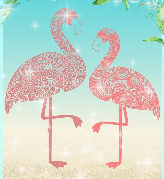 Download Flamingo Mandala Svg Free - 178+ Amazing SVG File for Cricut, Silhouette and Other Machine