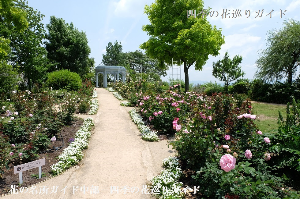 びわ湖大津館 バラの名所