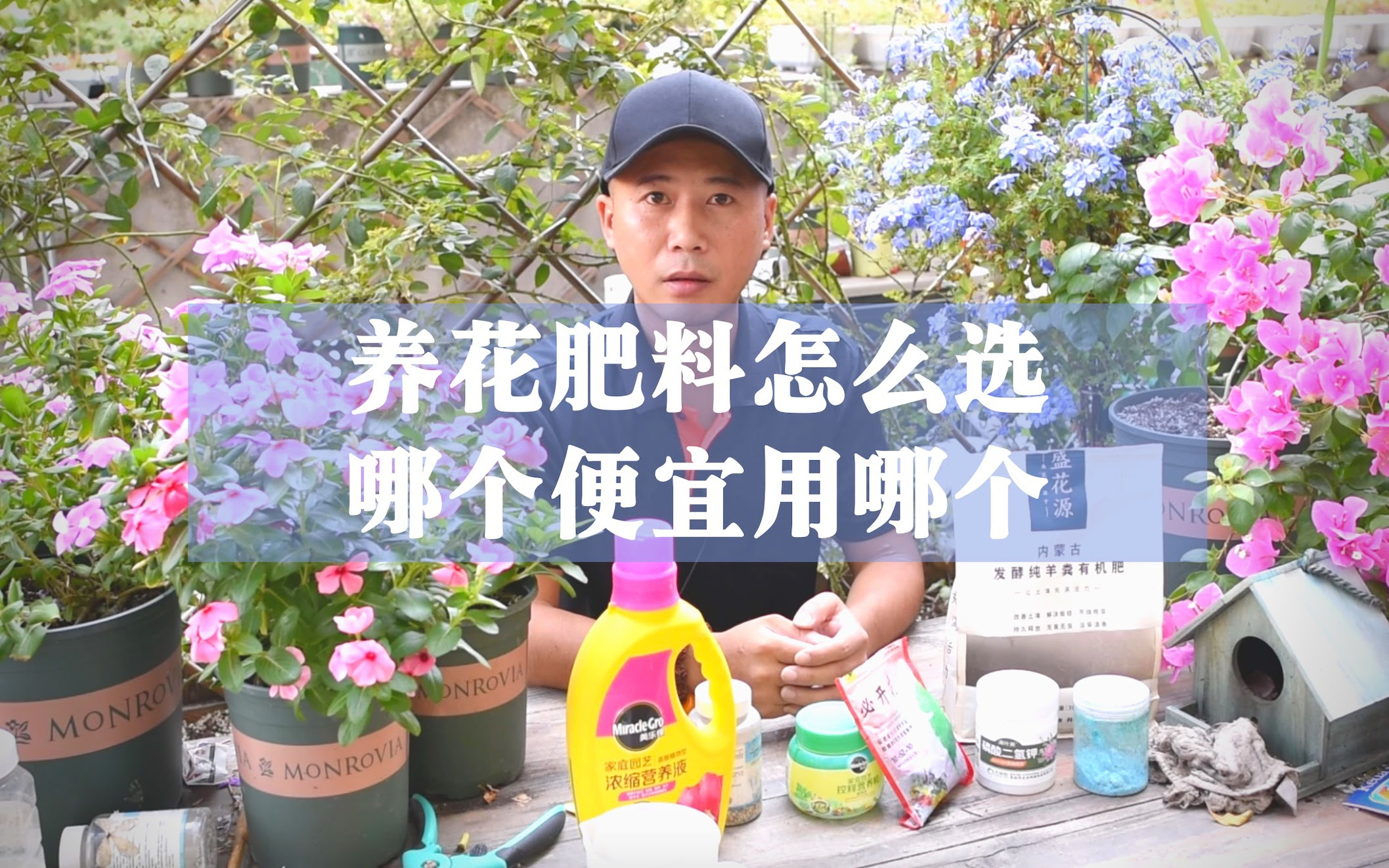 养花肥料怎么选 哪个便宜选哪个 混合使用效果更佳 哔哩哔哩 つロ干杯 Bilibili