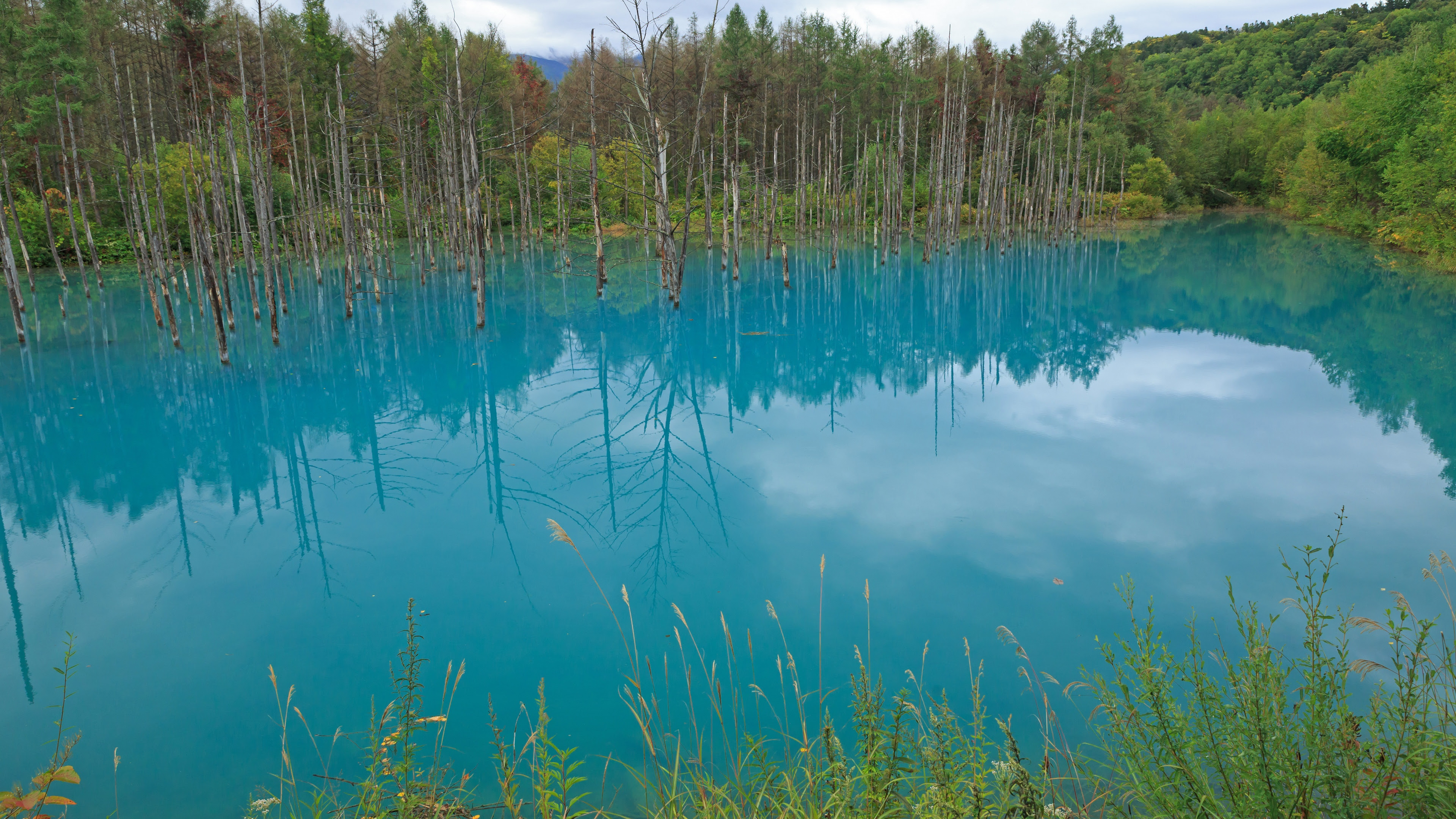 4k 旭川 美瑛 富良野の壁紙その4 計10枚 壁紙 日々駄文