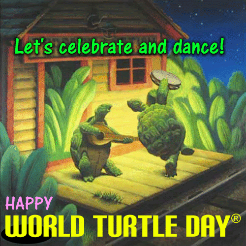 Do The Turtle Dance Free World Turtle Day Ecards Greeting Cards 123 Greetings
