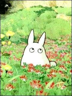 トトロ画像 画像ランド