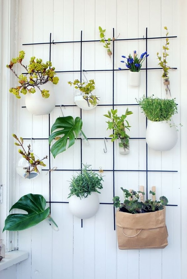 Ideas originales para decorar interiores con plantas ...