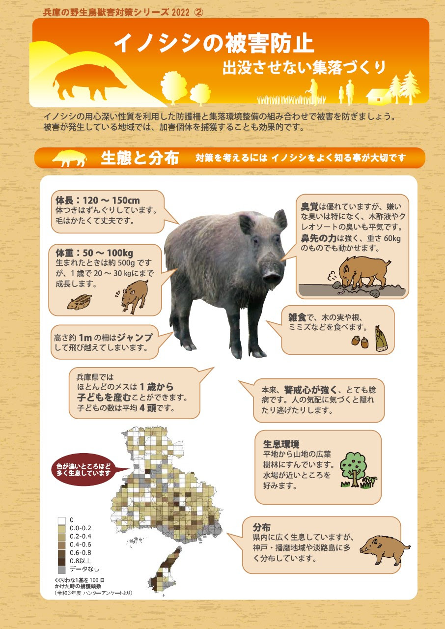 兵庫県森林動物センター 人 と 野生動物 森林などの自然環境 の豊かな共存を目指し 科学的 計画的な野生動物 の保護管理 ワイルドライフ マネージメント に取り組んでいます