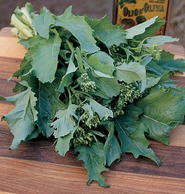 Broccoli Raab Spring, Brassica rapa var. ruvo 1000 Open Pollinated Seeds by David's Garden Seeds On Sale