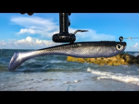 Searching for HUGE Fish during EPIC Bait Migration