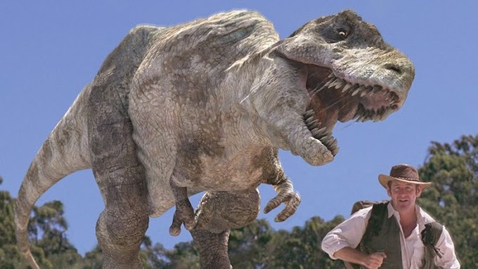 Watch Land of Giants: A Walking with Dinosaurs Special 2002 Full Movie
Online English Subs Full Access