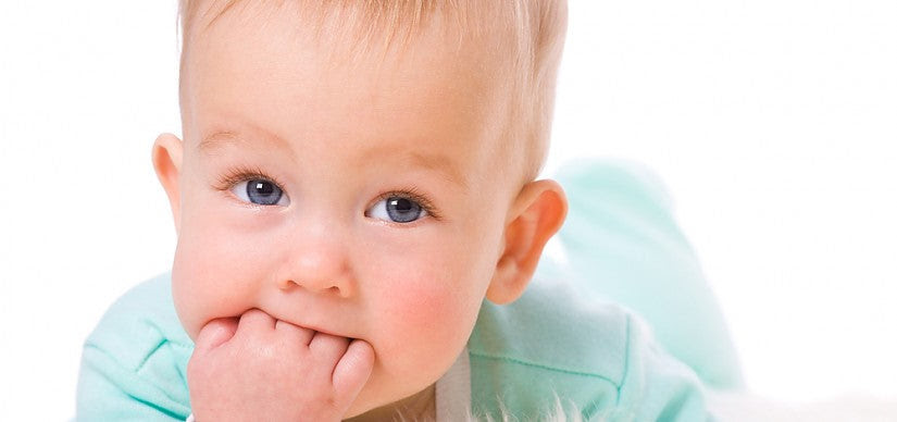 Soor Bei Ihrem Baby Symptome Und Behandlung Kabrita Deutschland