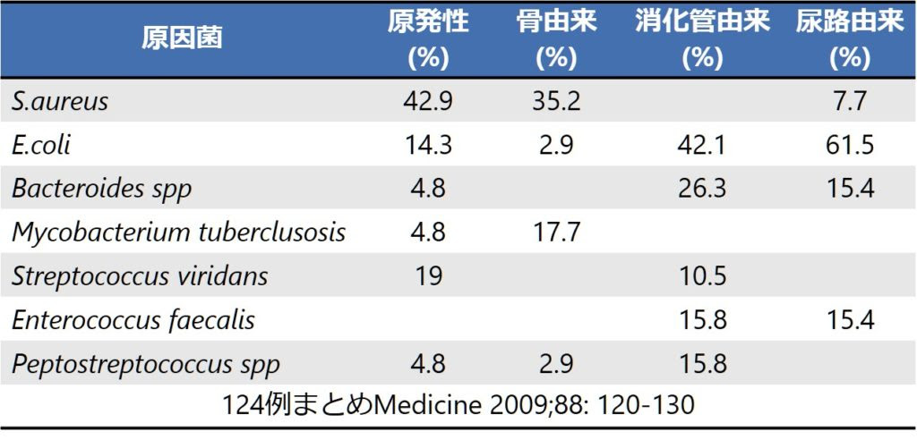 腸腰筋膿瘍 Iliopsoas Abscess 医學事始 いがくことはじめ