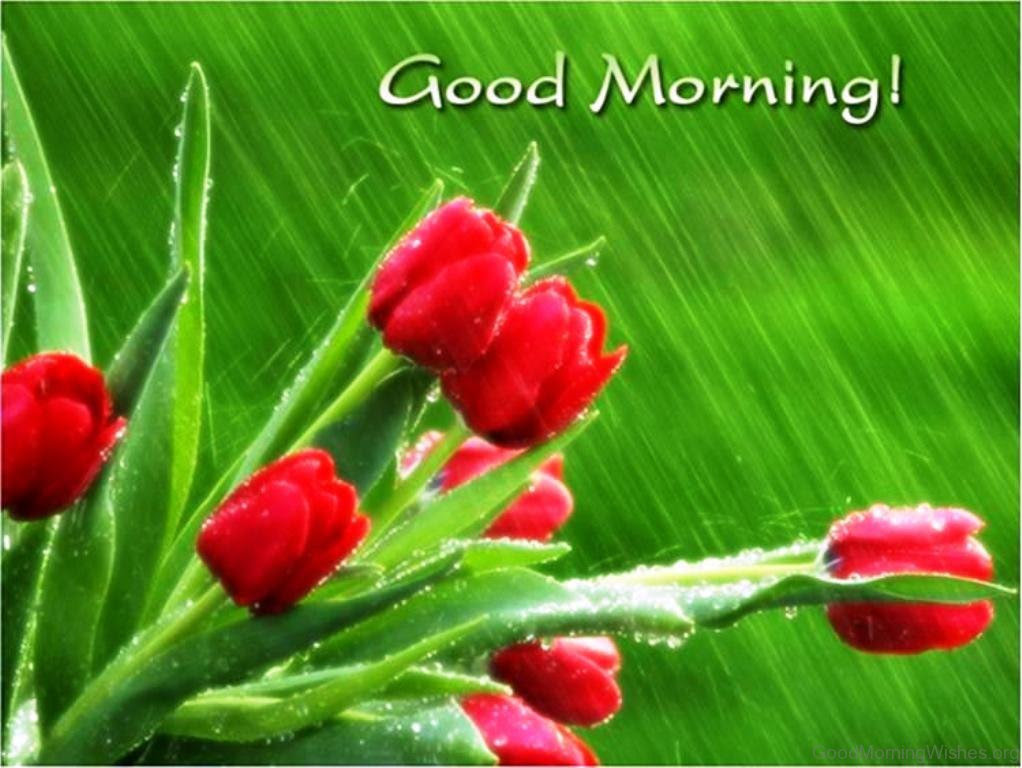 16 Good Morning Wishes For A Rainy Day