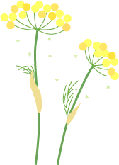 山田聖子のイラストブログ ハーブ アロマ