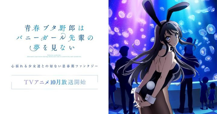 青春ブタ野郎はバニーガール先輩の夢を見ない 青ブタ 名言ランキング 投票 心に残る言葉の力