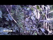 Panas Paku Haji Garut Tempat Wisata Religi, paling heboh!