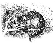 cheshire cat