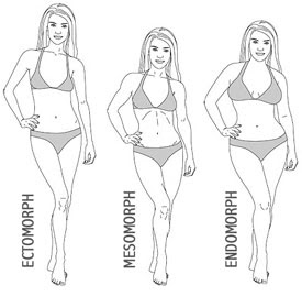 Body Type Calculator Calculate Your Body Type
