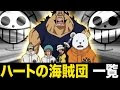 [最新] one piece ハートの海賊団 154610-One piece ハートの海賊団