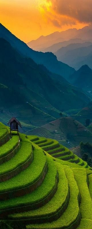 Mu Cang Chai, Vietnam