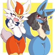 ポケモン ルカリオ 21 Pixiv年鑑 B