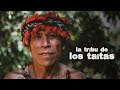 Tribus