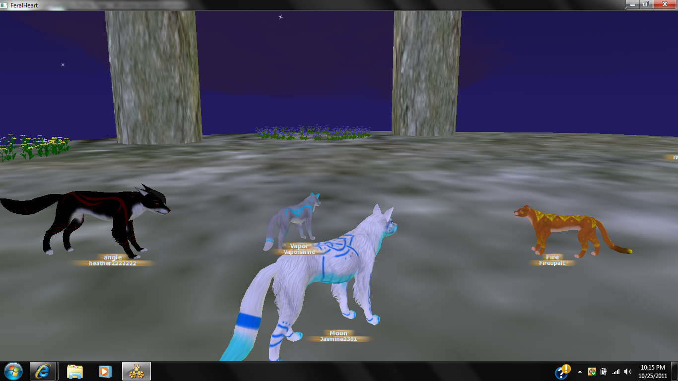 My Pack at the top of Temple of Dreams - Feral Heart ...